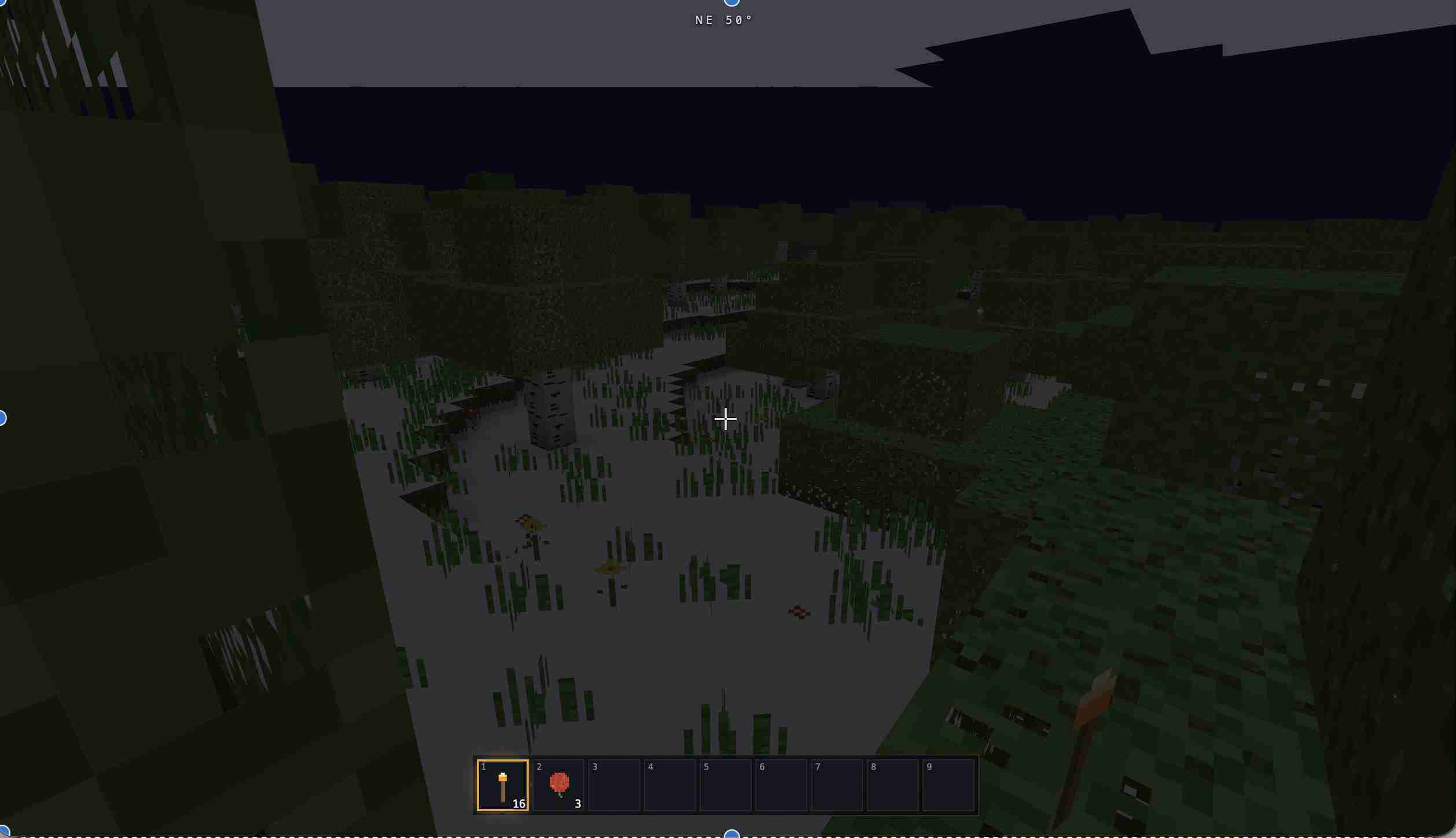 Voxelkern